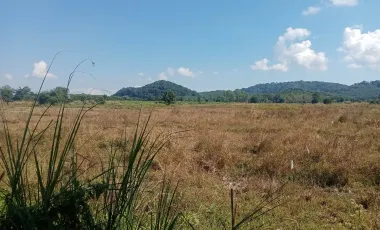 Land for sale in Huai Sak, Chiang Rai