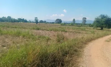 Land for sale in Huai Sak, Chiang Rai