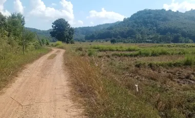 Land for sale in Huai Sak, Chiang Rai