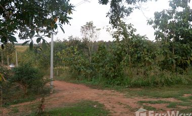 Land for sale in Huai Sak, Chiang Rai