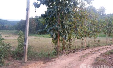 Land for sale in Huai Sak, Chiang Rai