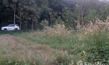 Land for sale in Huai Sak, Chiang Rai
