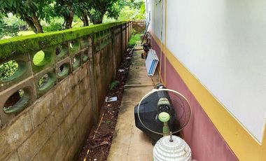 4 Bedroom House for sale in Wat Luang, Nong Khai