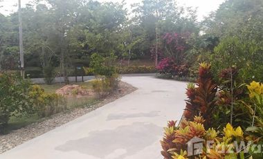 5 Bedroom House for sale in Mae Kon, Chiang Rai
