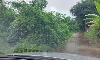 Land for sale in Ban Du, Chiang Rai