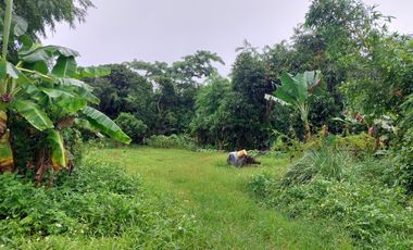 Land for sale in Ban Du, Chiang Rai