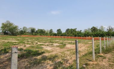Land for sale in Nang Lae, Chiang Rai