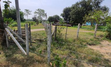 Land for sale in Nang Lae, Chiang Rai