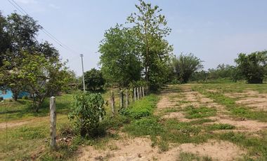 Land for sale in Nang Lae, Chiang Rai