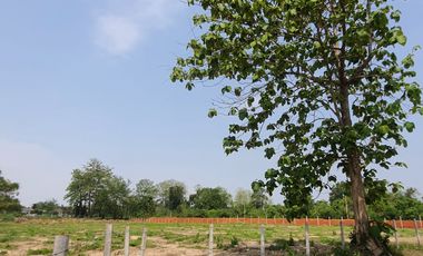 Land for sale in Nang Lae, Chiang Rai