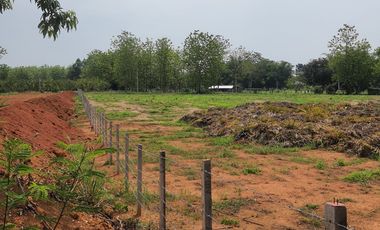 Land for sale in Nang Lae, Chiang Rai