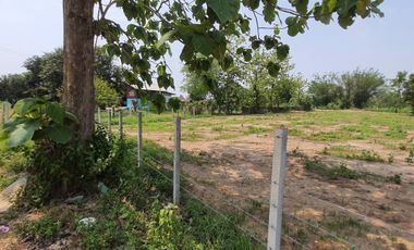 Land for sale in Nang Lae, Chiang Rai