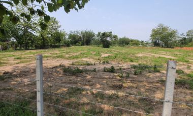 Land for sale in Nang Lae, Chiang Rai