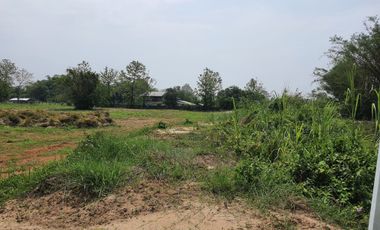Land for sale in Nang Lae, Chiang Rai