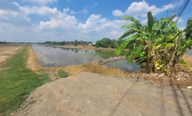 Land for sale in Nara Phirom, Nakhon Pathom