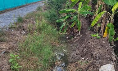Land for sale in Nara Phirom, Nakhon Pathom