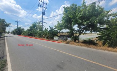 Land for sale in Nara Phirom, Nakhon Pathom