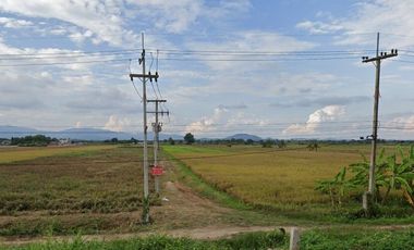 Land for sale in Rim Kok, Chiang Rai