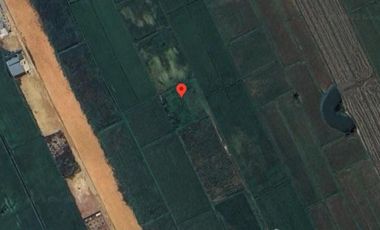 Land for sale in Rim Kok, Chiang Rai