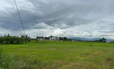 Land for sale in Rim Kok, Chiang Rai