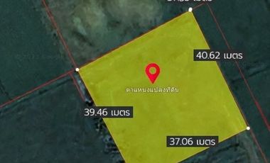Land for sale in Rim Kok, Chiang Rai