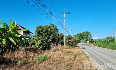 Land for sale in Mae Tam, Chiang Rai