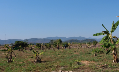 Land for sale in Mae Tam, Chiang Rai
