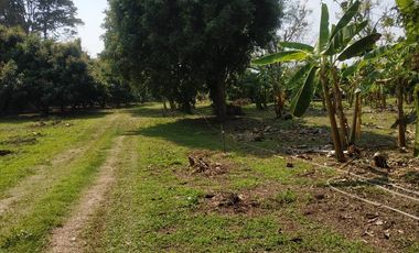 Land for sale in Rop Wiang, Chiang Rai