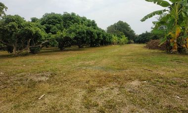 Land for sale in Rop Wiang, Chiang Rai