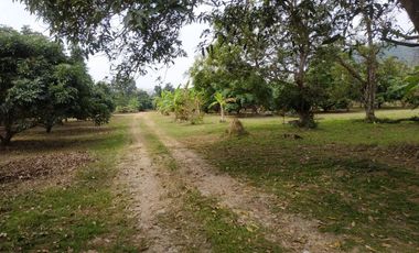 Land for sale in Rop Wiang, Chiang Rai