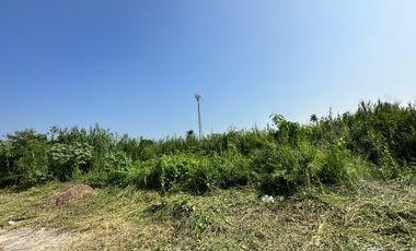Land for sale in Nakhon Pathom, Nakhon Pathom
