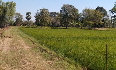 Land for sale in Khwao Yai, Maha Sarakham