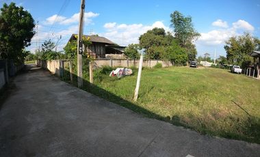 Land for sale in Pa Ko Dam, Chiang Rai