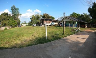 Land for sale in Pa Ko Dam, Chiang Rai