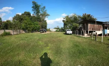 Land for sale in Pa Ko Dam, Chiang Rai