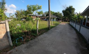 Land for sale in Pa Ko Dam, Chiang Rai