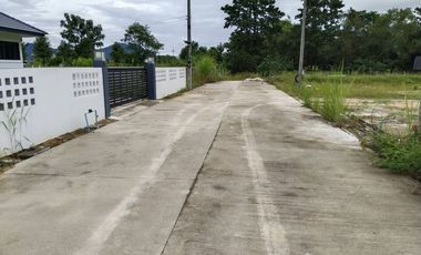 Land for sale in Pa O Don Chai, Chiang Rai