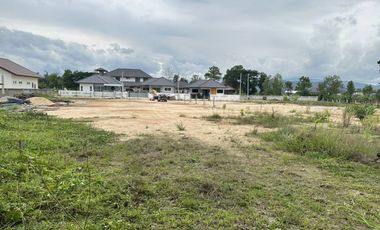 Land for sale in Pa O Don Chai, Chiang Rai