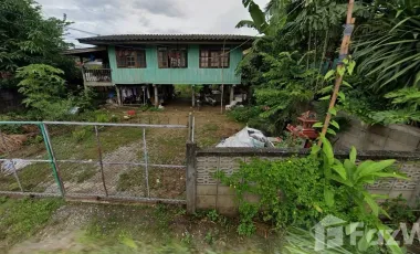 Land for sale in Nang Lae, Chiang Rai