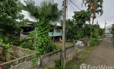 Land for sale in Nang Lae, Chiang Rai