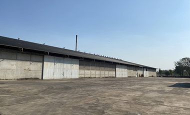 3 Bedroom Warehouse for sale in Cho Ho, Nakhon Ratchasima