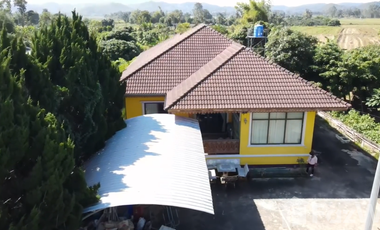 4 Bedroom House for sale in Chiang Khian, Chiang Rai