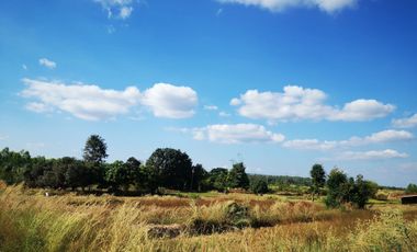 Land for sale in Sawathi, Khon Kaen