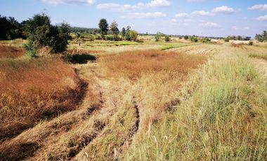 Land for sale in Sawathi, Khon Kaen