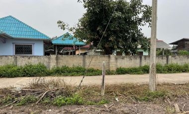 Land for sale in Wiang, Chiang Rai