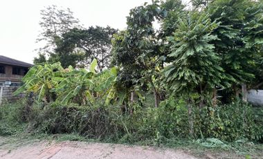 Land for sale in Sila, Khon Kaen