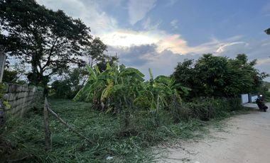 Land for sale in Sila, Khon Kaen