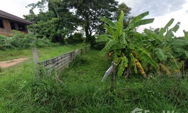 Land for sale in Sila, Khon Kaen