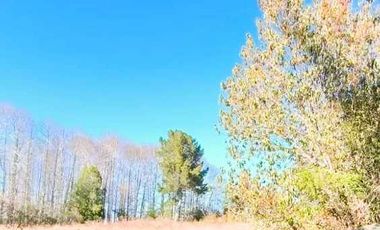 Parcela en venta en VILLARRICA