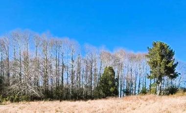 Parcela en venta en VILLARRICA